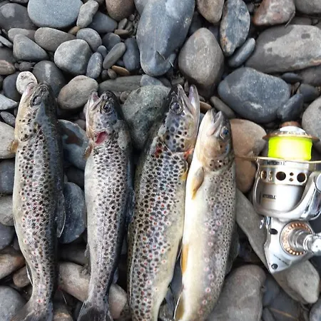 Le Refuge De L'ourse Chalet Anla