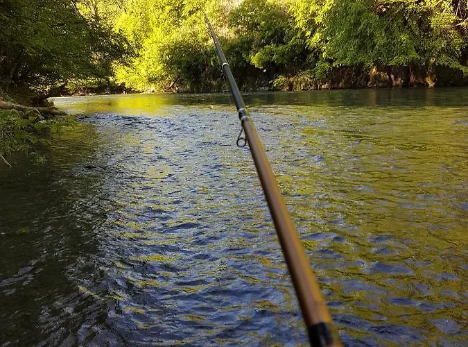 Le Refuge De L'ourse Σαλέ Anla