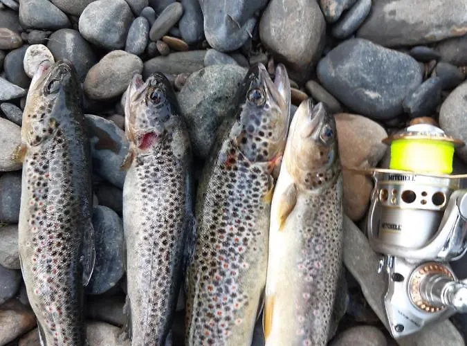 Le Refuge De L'ourse Σαλέ Anla